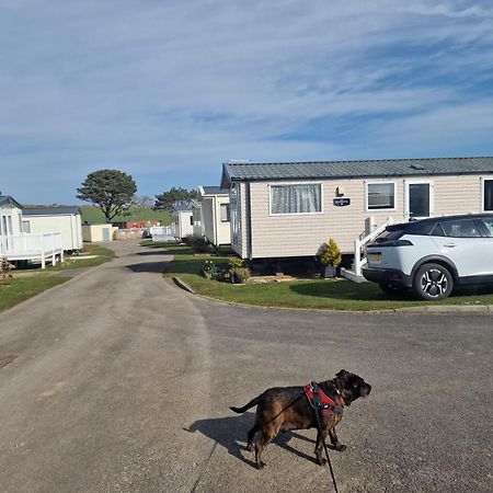 Durdlee Door, D27, Main Rd, West Lulworth, Wareham Bh20 5Pu Hotel Exterior photo